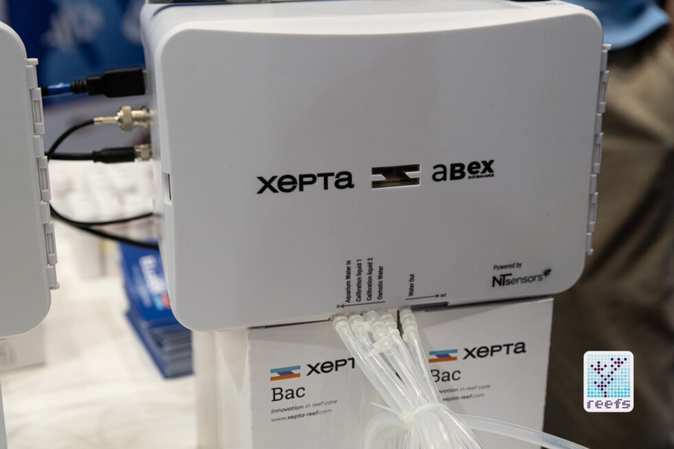 xepta abex 4