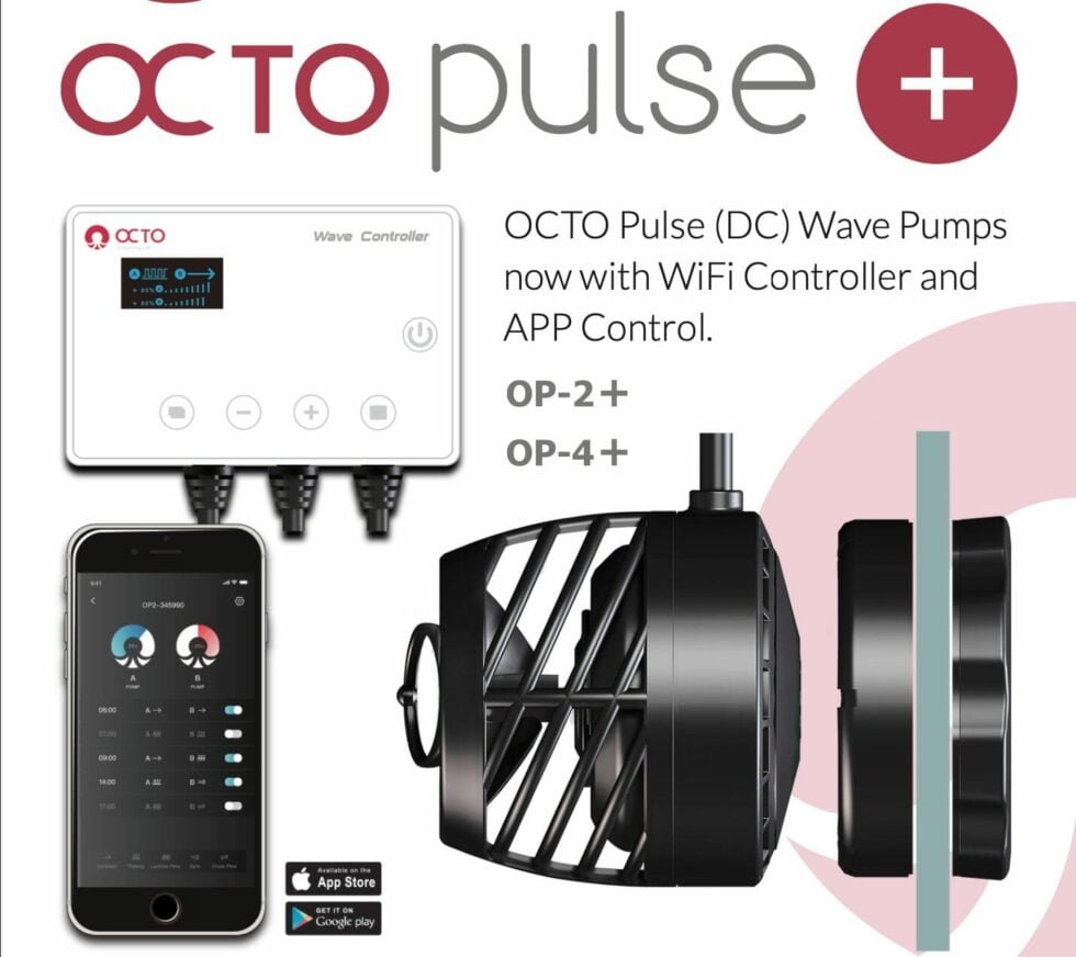 octo pulse 2