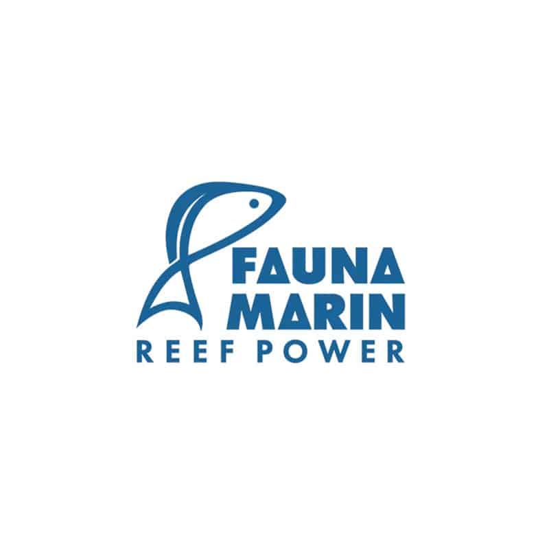 Fauna Marin